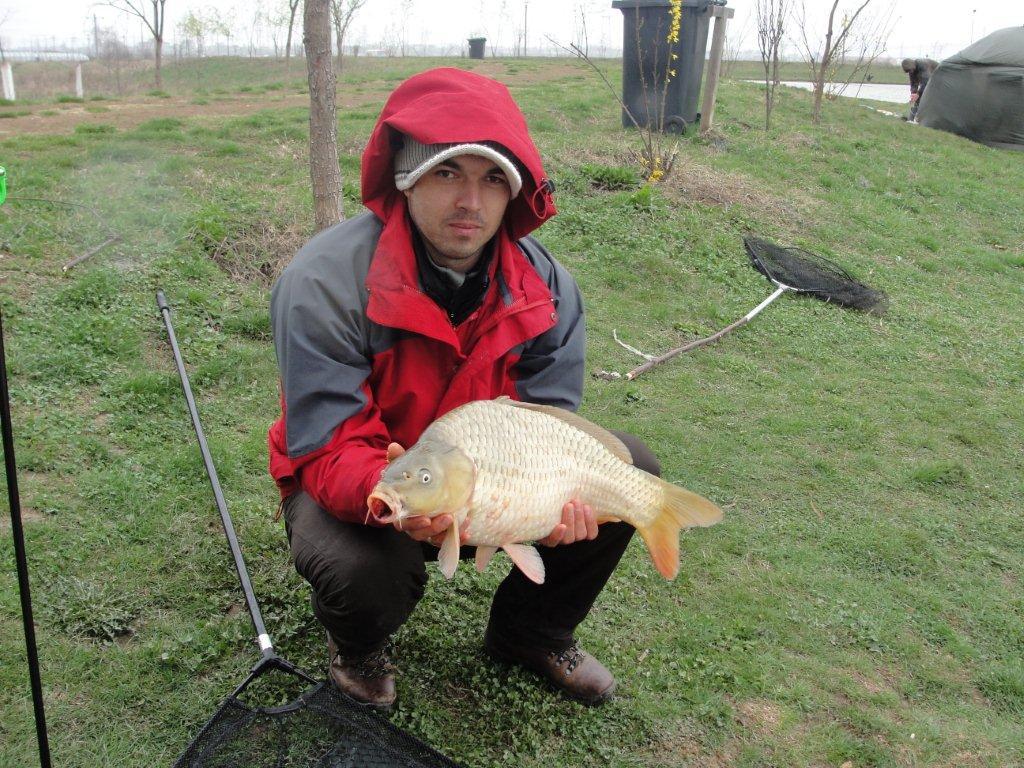 Floarea Popestiului 01.04.2012 - picture-122.jpg